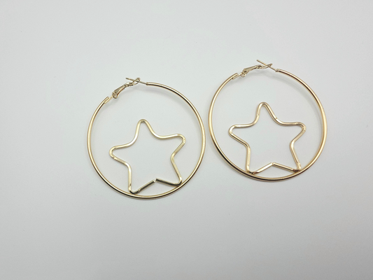 Earrings 9